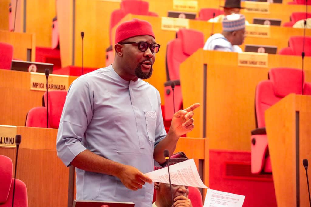 Open Letter to Sen. Osita Ngwu on State Policing
